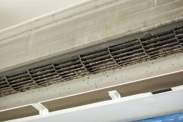 Best Air Duct Cleaning Near Me  in Bayshe, OR